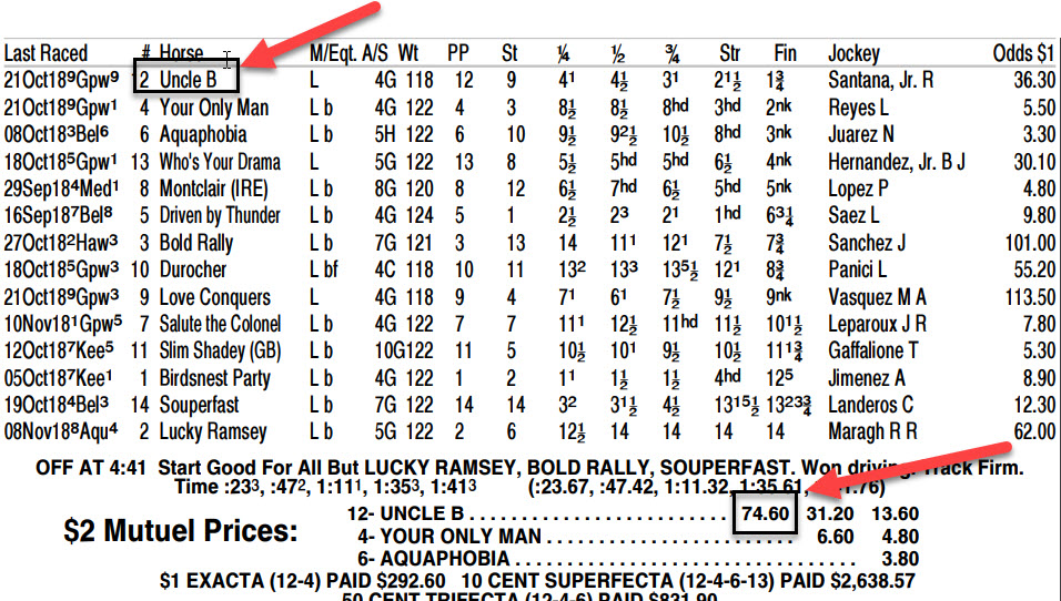 Brisnet Charts